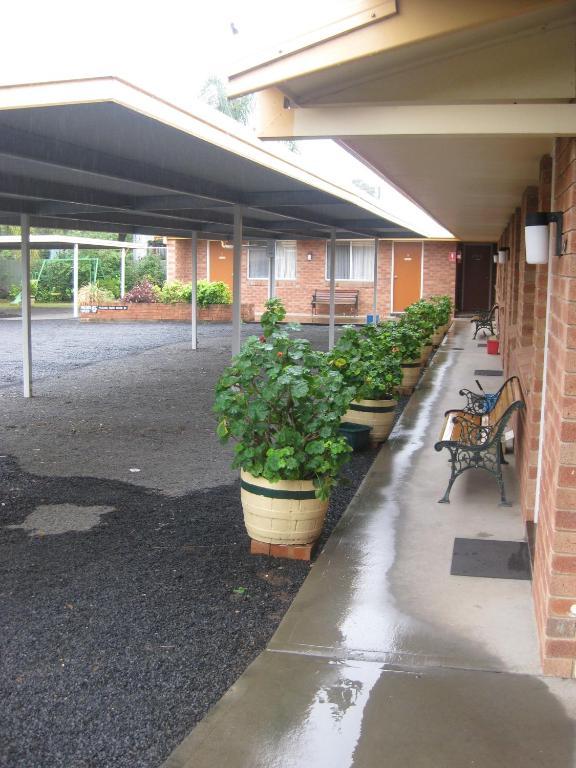 Alfa Motel Gilgandra Extérieur photo